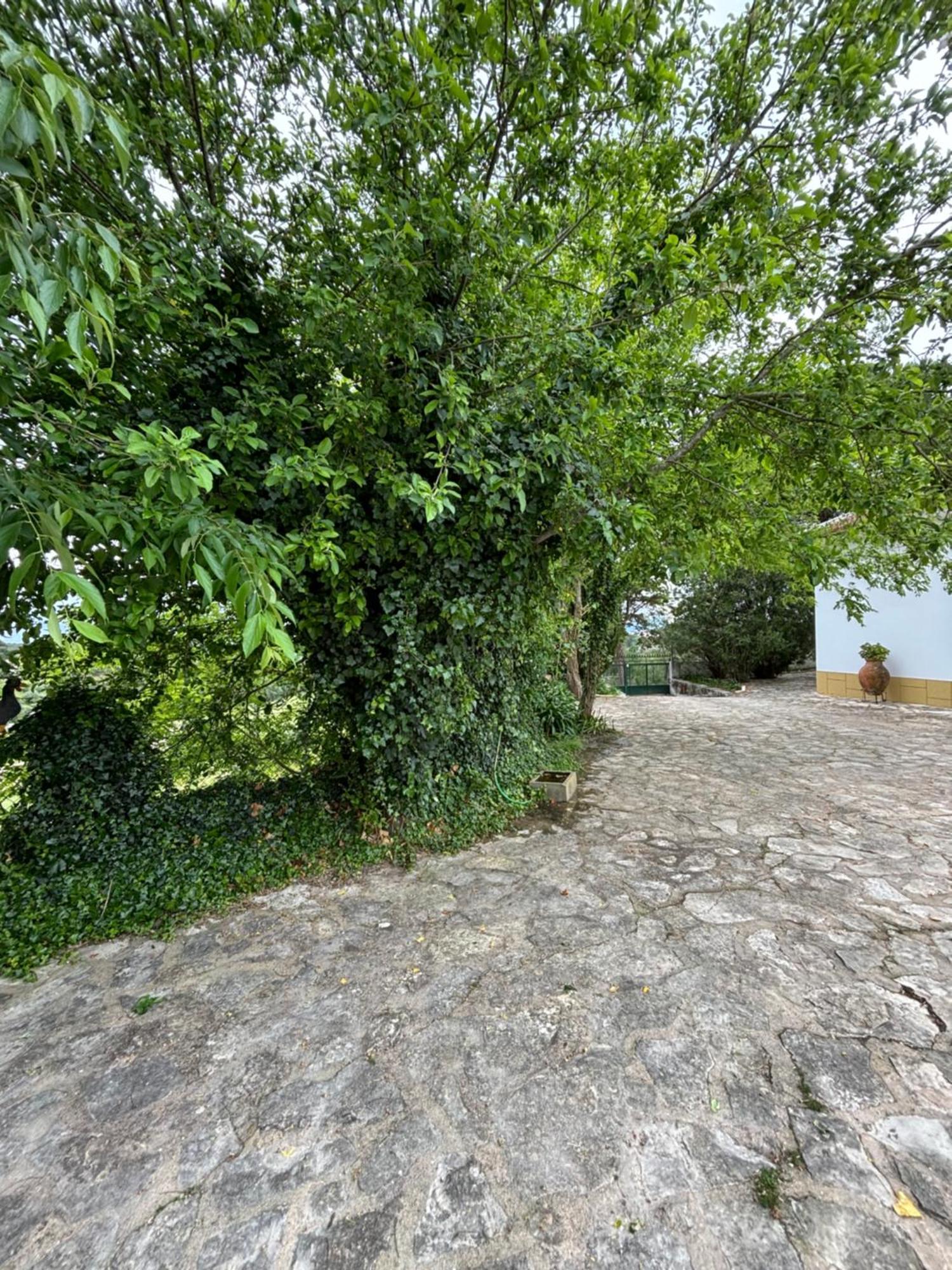 Villa Casa Da Nogueira Tomar Esterno foto