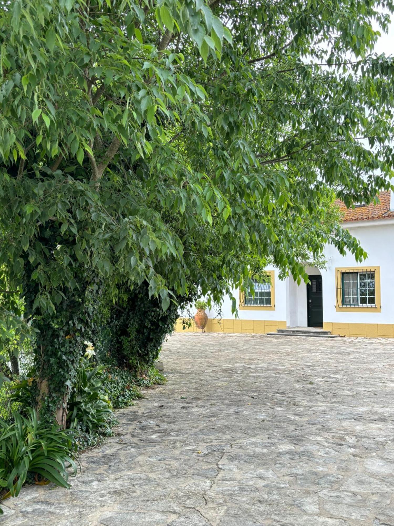 Villa Casa Da Nogueira Tomar Esterno foto
